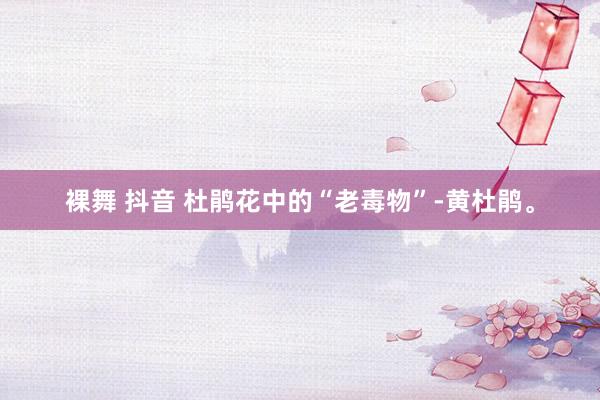裸舞 抖音 杜鹃花中的“老毒物”-黄杜鹃。