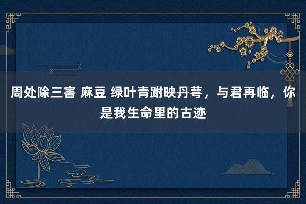 周处除三害 麻豆 绿叶青跗映丹萼，与君再临，你是我生命里的古迹