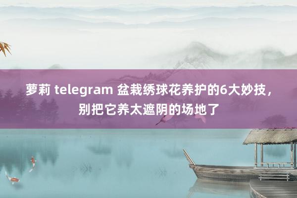 萝莉 telegram 盆栽绣球花养护的6大妙技，别把它养太遮阴的场地了