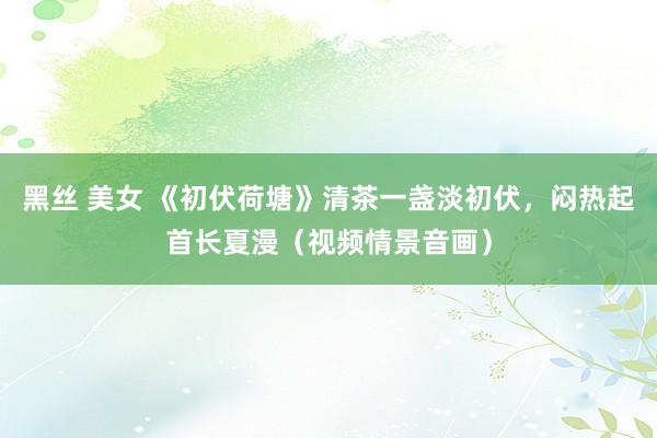 黑丝 美女 《初伏荷塘》清茶一盏淡初伏，闷热起首长夏漫（视频情景音画）