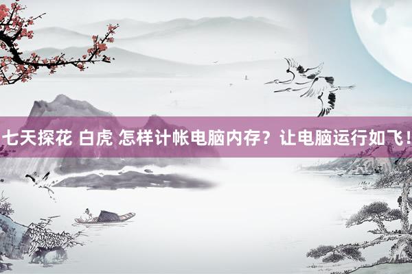 七天探花 白虎 怎样计帐电脑内存？让电脑运行如飞！