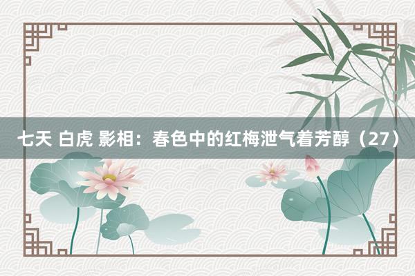 七天 白虎 影相：春色中的红梅泄气着芳醇（27）