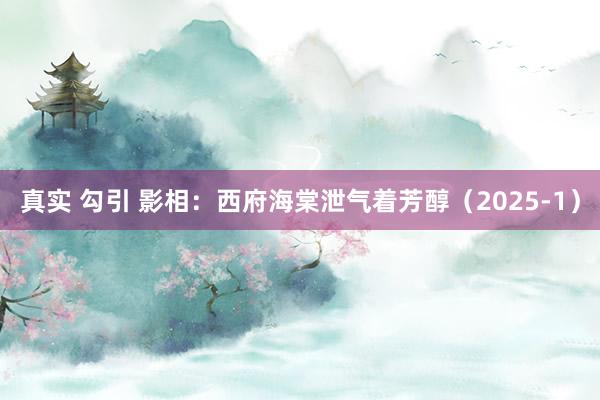 真实 勾引 影相：西府海棠泄气着芳醇（2025-1）