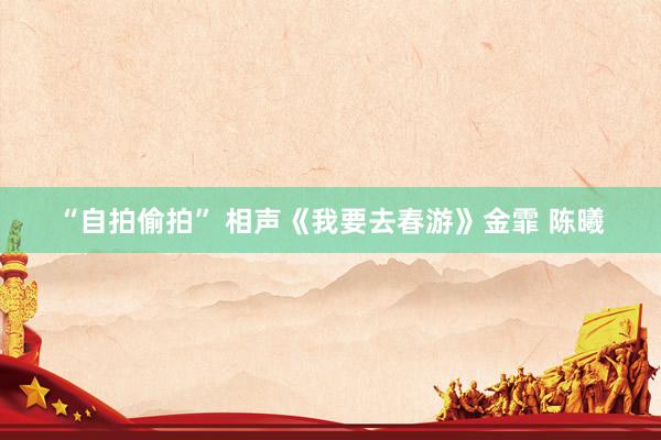 “自拍偷拍” 相声《我要去春游》金霏 陈曦
